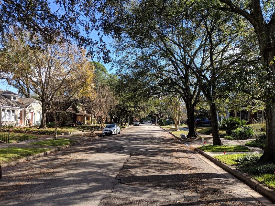 Montrose residential street view — Houston TX