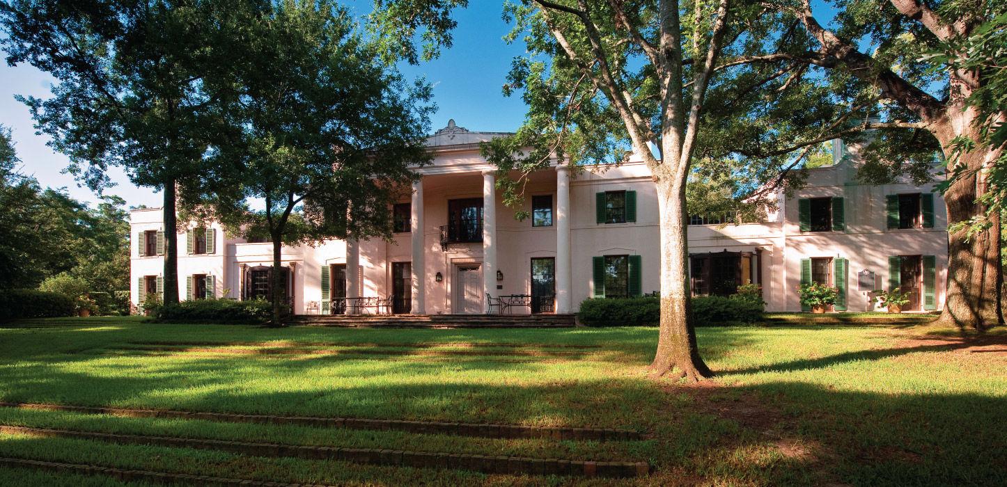 River Oaks tree-lined street — Houston TX